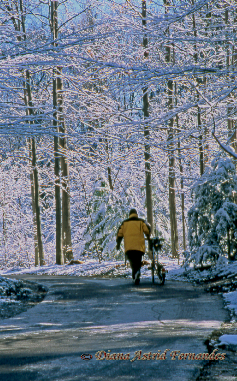 Winter-Cyclist